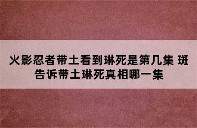 火影忍者带土看到琳死是第几集 斑告诉带土琳死真相哪一集